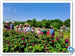 Unterwegs im Rosenfeld