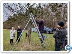 OGV Obstbaumschnitt 26 2